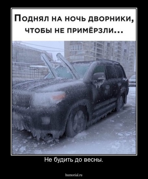 Не будить до весны.