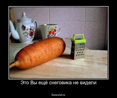 Это Вы ещё снеговика не видели