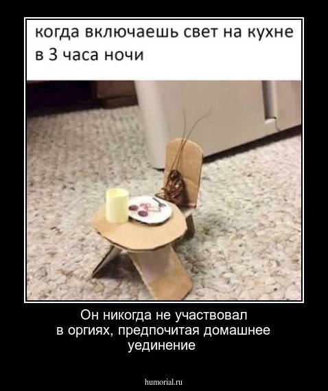 Он никогда не участвовал в оргиях, предпочитая домашнее уединение