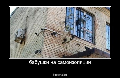 бабушки на самоизоляции