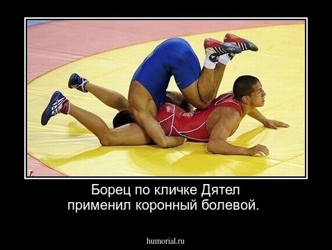 Борец по кличке Дятел применил коронный болевой.