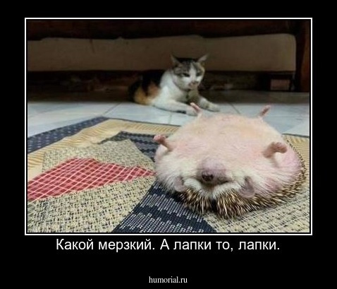 Какой мерзкий. А лапки то, лапки.