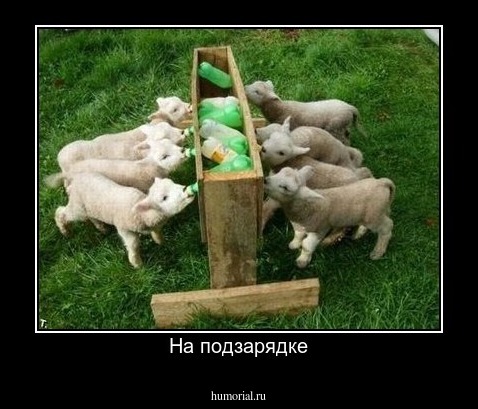 На подзарядке