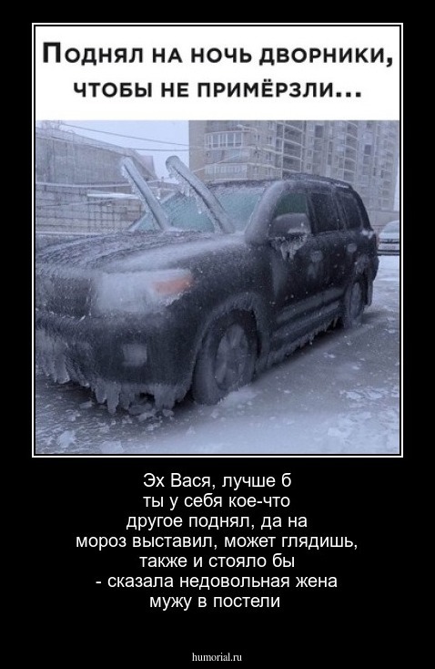 Эх Вася, лучше б ты у себя кое-что другое поднял, да на мороз выставил, может глядишь, также и стояло бы - сказала недовольная жена мужу в постели
