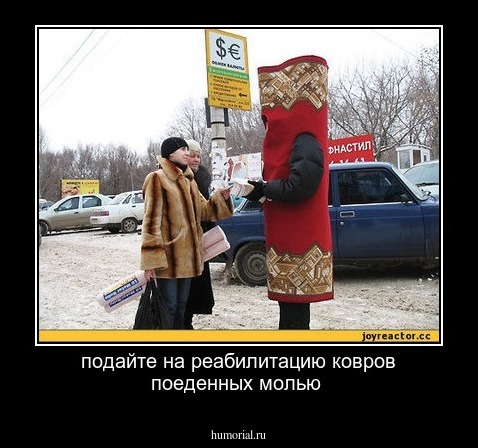 подайте на реабилитацию ковров поеденных молью