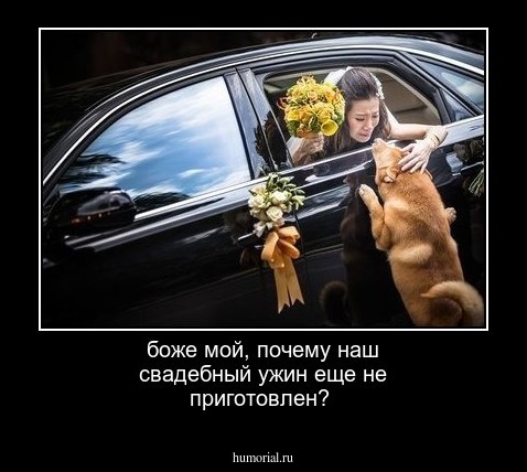 боже мой, почему наш свадебный ужин еще не приготовлен?