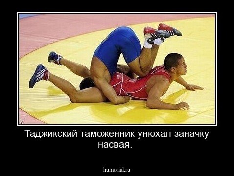 Таджикский таможенник унюхал заначку насвая.