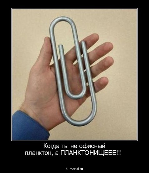Когда ты не офисный планктон, а ПЛАНКТОНИЩЕЕЕ!!!