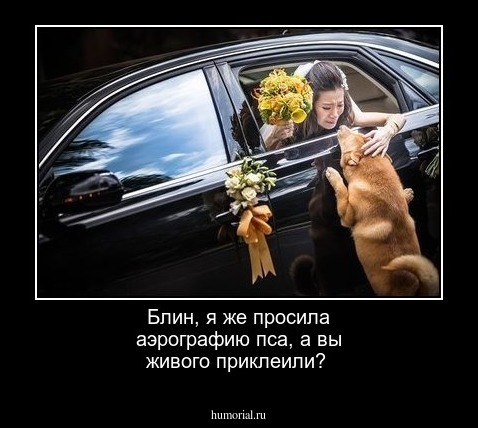 Блин, я же просила аэрографию пса, а вы живого приклеили?