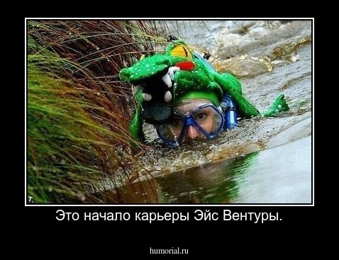 Это начало карьеры Эйс Вентуры.