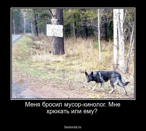 Меня бросил  мусор-кинолог. Мне  хрюкать  или ему?
