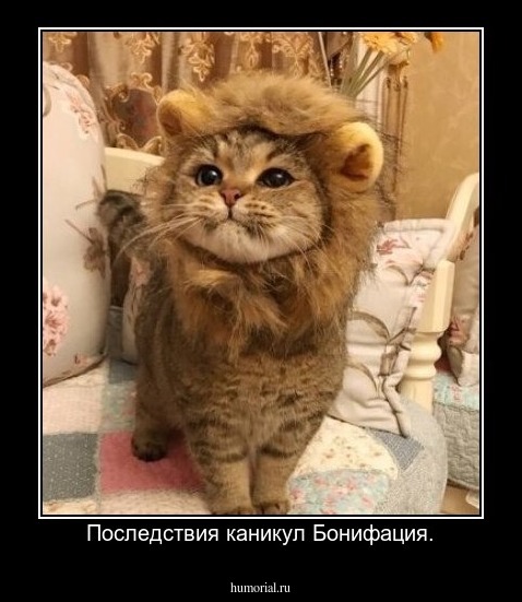 Последствия каникул Бонифация.