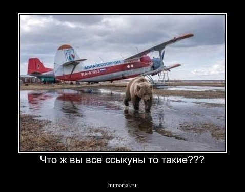 Что ж вы все ссыкуны то такие???