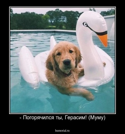 - Погорячился ты, Герасим! (Муму)