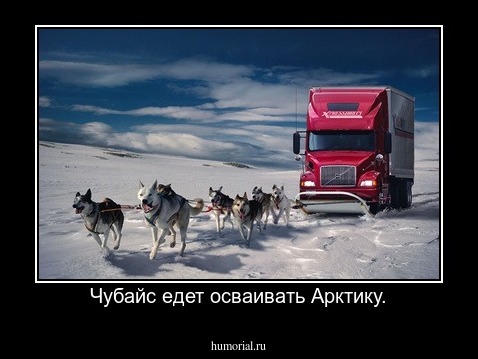 Чубайс едет осваивать Арктику.