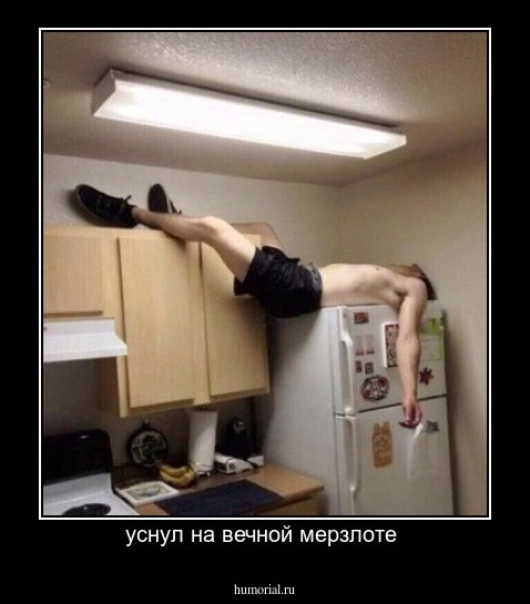 уснул на вечной мерзлоте 
