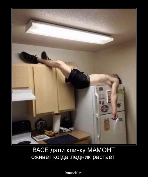 ВАСЕ дали кличку МАМОНТ оживет когда ледник растает