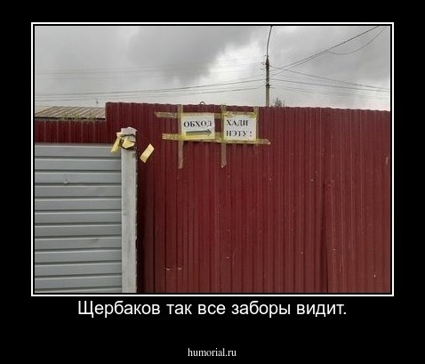 Щербаков так все заборы видит.