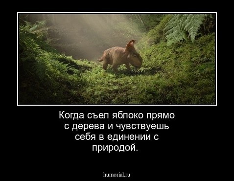 Когда съел яблоко прямо с дерева и чувствуешь себя в единении с природой.