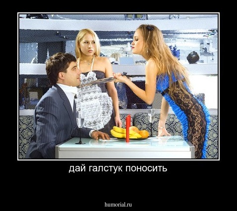 дай галстук поносить
