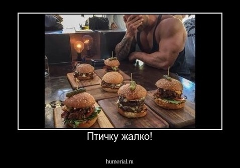 Птичку жалко!