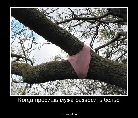 Когда просишь мужа развесить белье