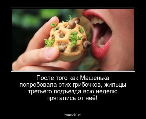 После того как Машенька попробовала этих грибочков, жильцы третьего подъезда всю неделю прятались от неё!