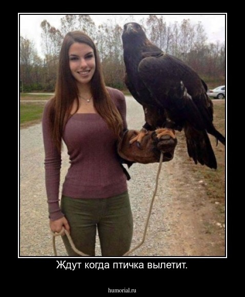Ждут когда птичка вылетит.