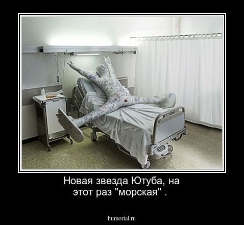 Новая звезда Ютуба, на этот раз "морская" .