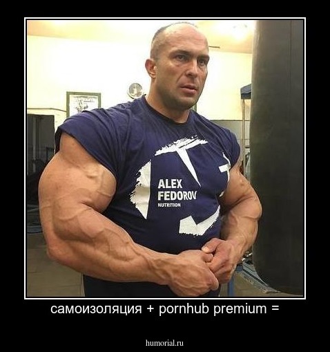 самоизоляция + pornhub premium =