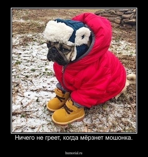 Ничего не греет, когда мёрзнет мошонка.