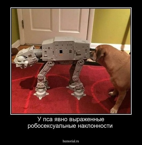 У пса явно выраженные робосексуальные наклонности