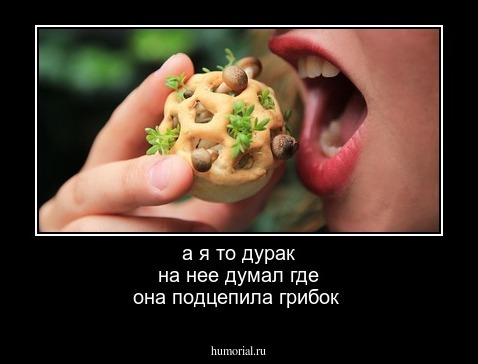  а я то дурак на нее  думал где она подцепила грибок