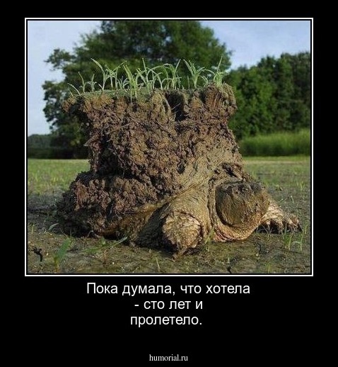 Пока думала, что хотела - сто лет и пролетело.