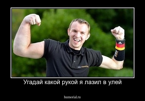 Угадай какой рукой я лазил в улей