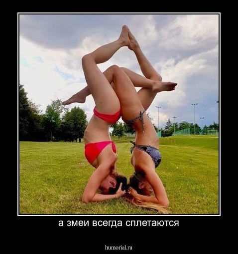 а змеи всегда сплетаются