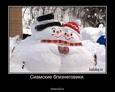 Сиамские близнеговики.