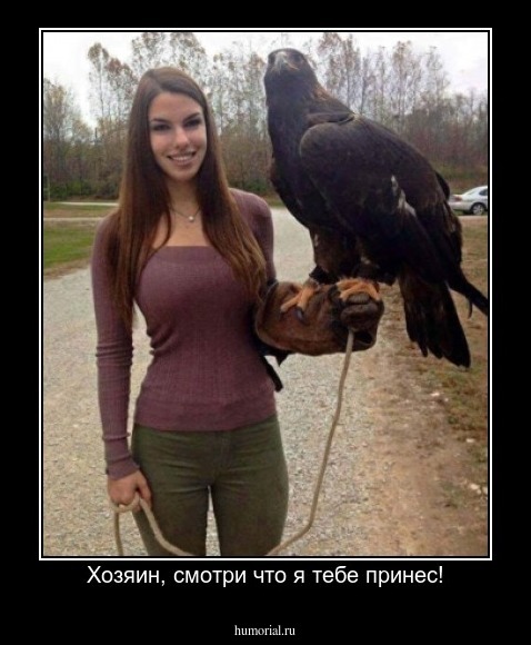 Хозяин, смотри что я тебе принес!