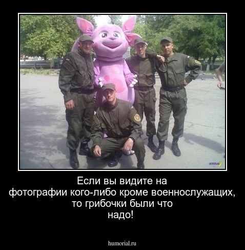 Если вы видите на фотографии кого-либо кроме военнослужащих, то грибочки были что надо!