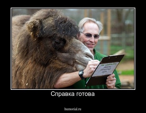 Справка готова