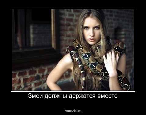 Змеи должны держатся вместе