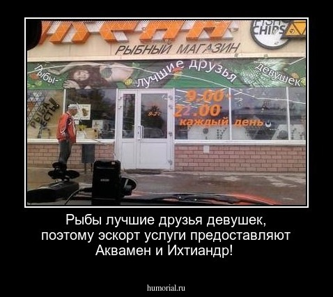 Рыбы лучшие друзья девушек, поэтому эскорт услуги предоставляют Аквамен и Ихтиандр!
