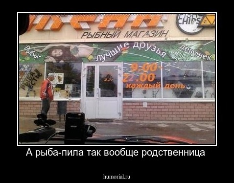 А рыба-пила так вообще родственница 