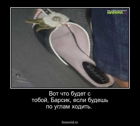 Вот что будет с тобой, Барсик, если будешь по углам ходить.