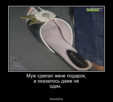 Муж сделал жене подарок, а оказалось даже не один. 