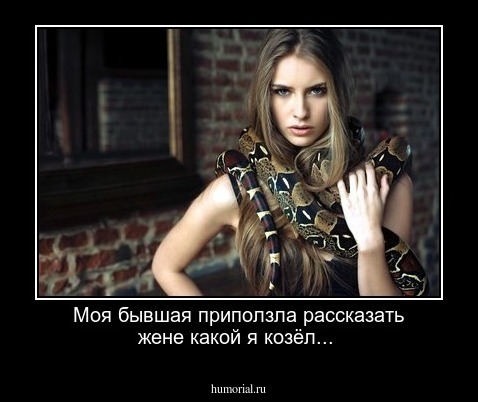 Моя бывшая приползла рассказать жене какой я козёл...