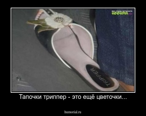 Тапочки триппер - это ещё цветочки...