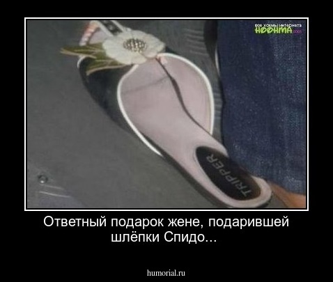 Ответный подарок жене, подарившей шлёпки Спидо...