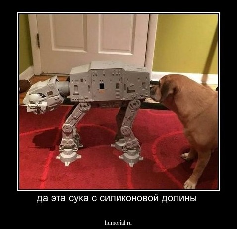 да эта сука с силиконовой долины 