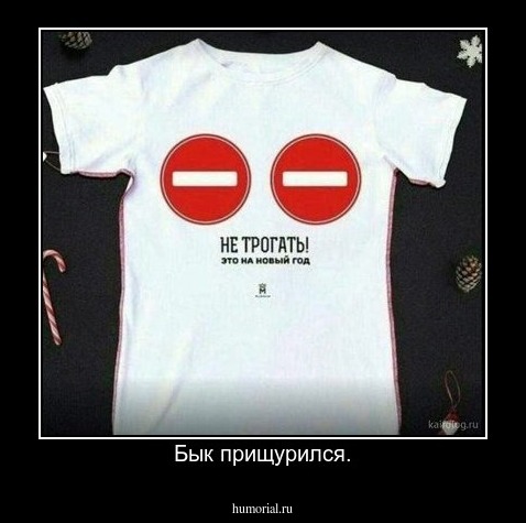 Бык прищурился.